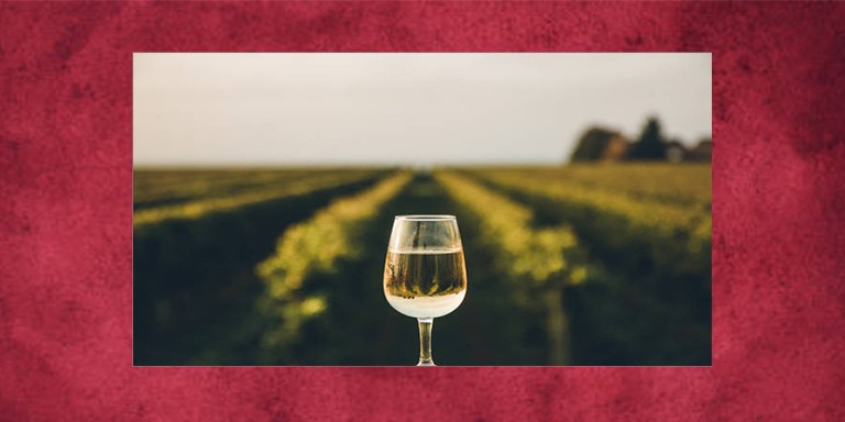 Damağınıza Uygun İyi Bir Şişe Şarap Seçmenin Yöntemleri
